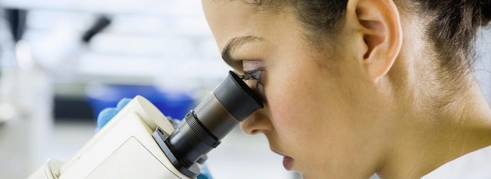 Investigación y Desarrollo Investigación y Desarrollo